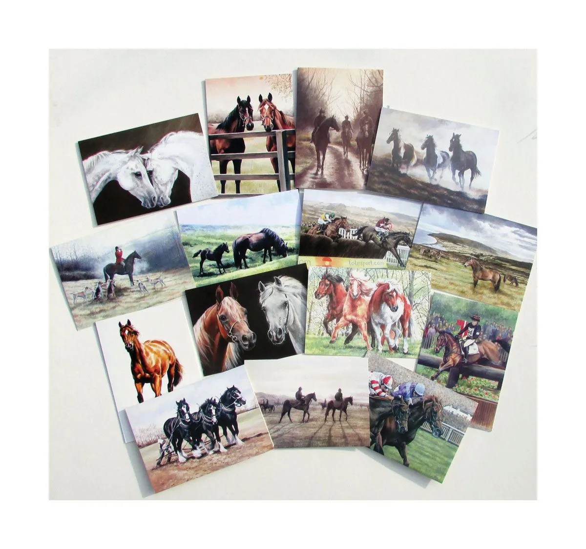 Caroline Cook Equestrian Cards