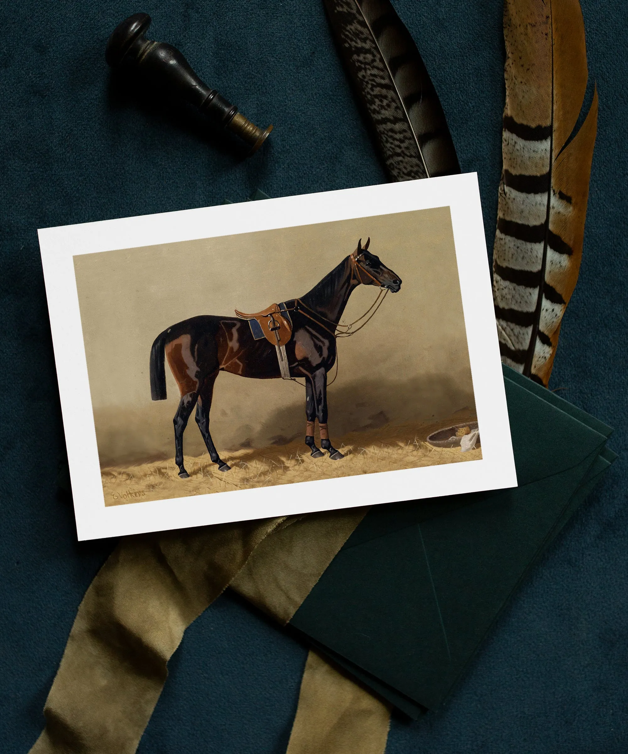 Frameable Equestrian Notecards