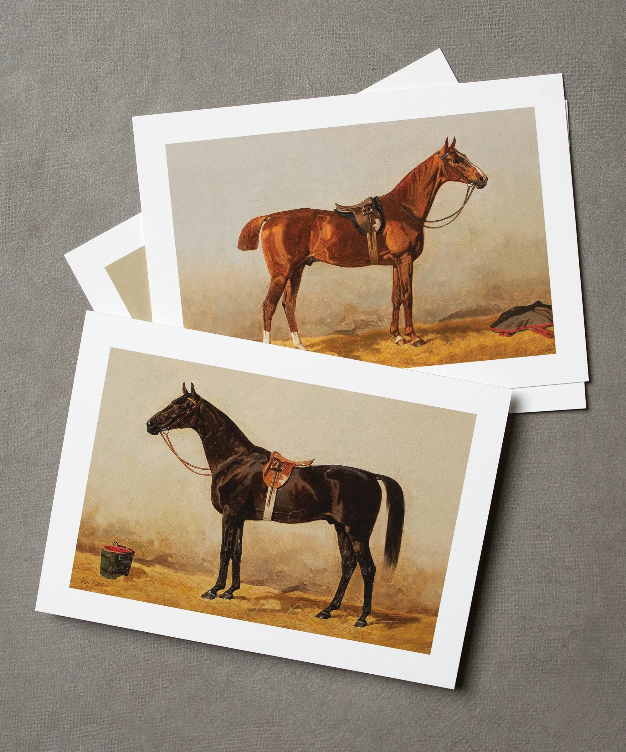 Frameable Equestrian Notecards