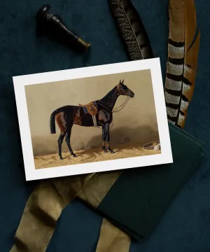Frameable Equestrian Notecards