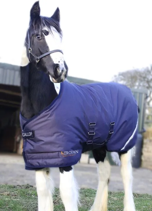 Gallop Equestrian Trojan 200 Flexi Foal Turnout