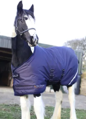 Gallop Equestrian Trojan 200 Flexi Foal Turnout