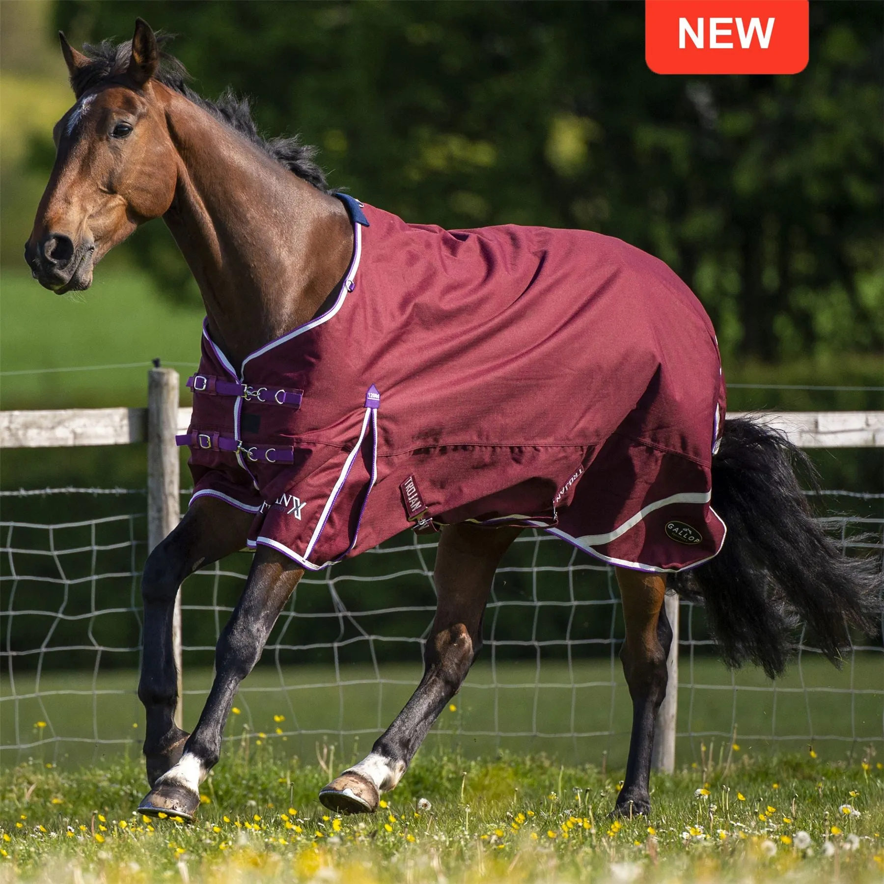 Gallop Equestrian Trojan Xtra Lightweight Turnout