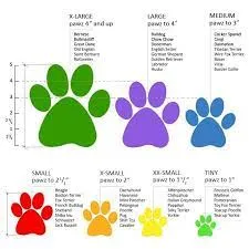 Pawz Dog Boots