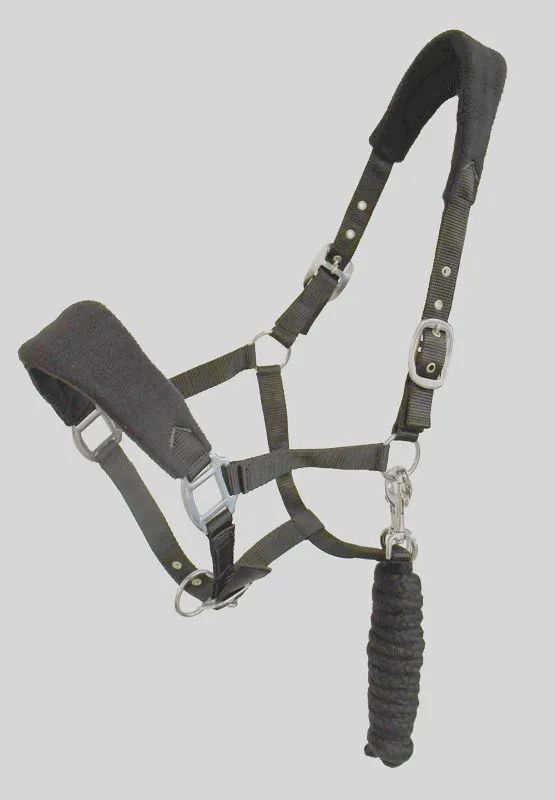 Personalised Anatomical Headcollar And Leadrope Set - Plodders Design