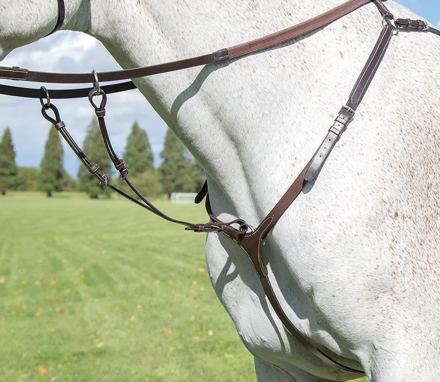 Shires Blenheim Outline Training Aid