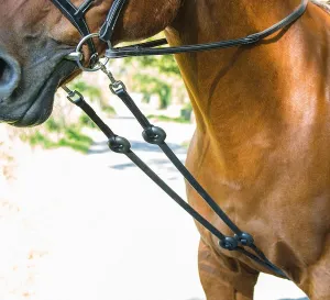 Shires Blenheim Outline Training Aid