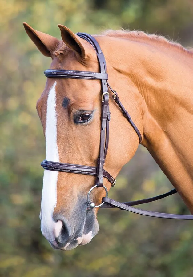 Shires Salisbury Fairford Bridle