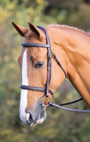 Shires Salisbury Fairford Bridle