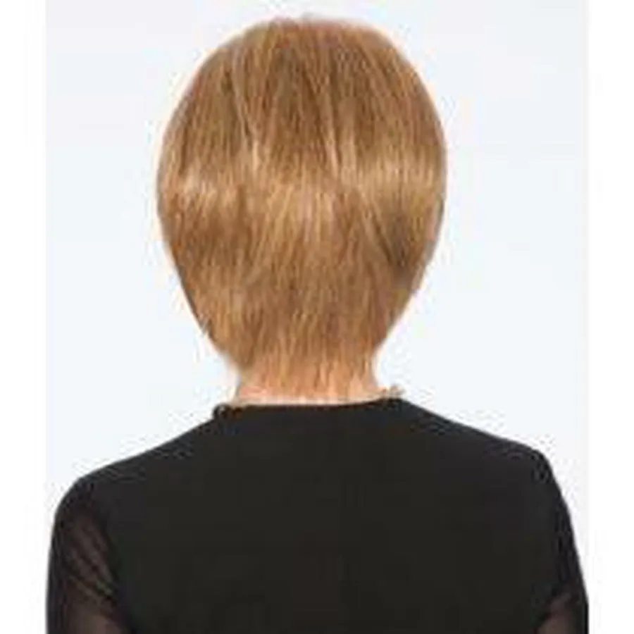 Sleek & Chic Wig by Hairdo