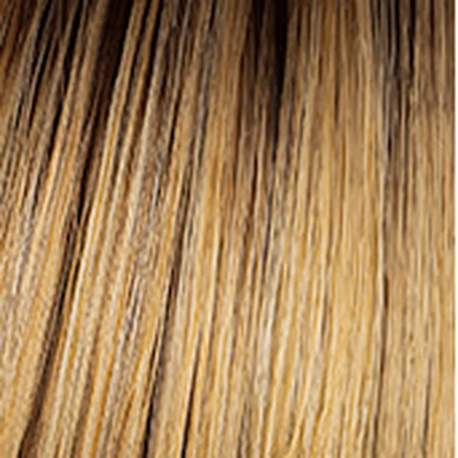 Sleek & Chic Wig by Hairdo