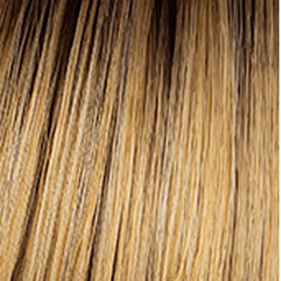 Sleek & Chic Wig by Hairdo