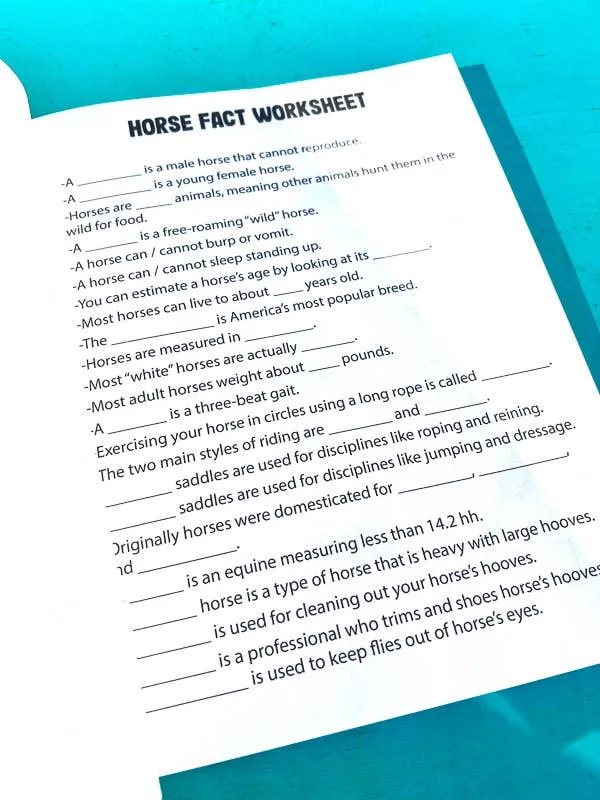 The Riding Student's Horse Workbook