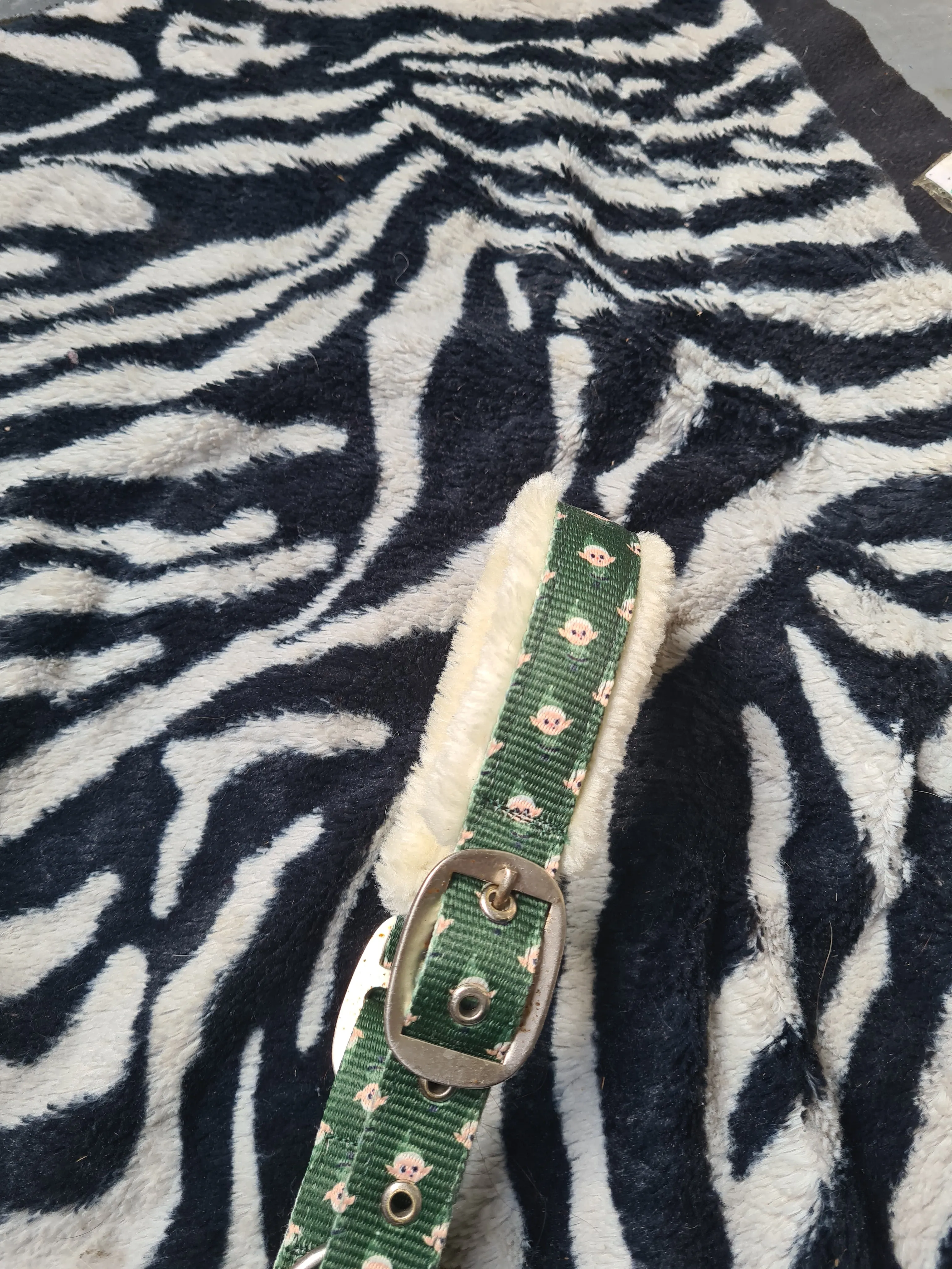 Used pony size QHP equestrian green elf head collar FREE POSTAGE☆