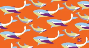 WHALE KIDS TOWEL II